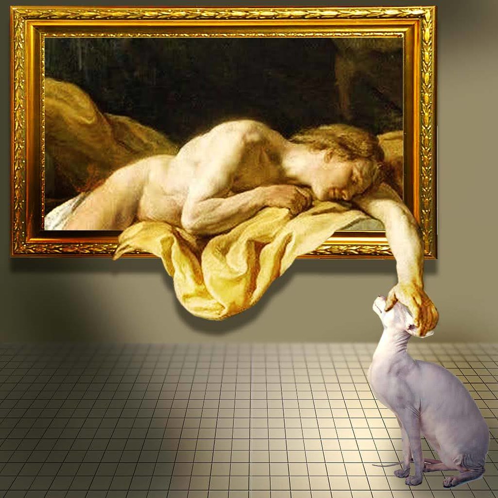 A cat, illustrating Pumpkin Patch Candle