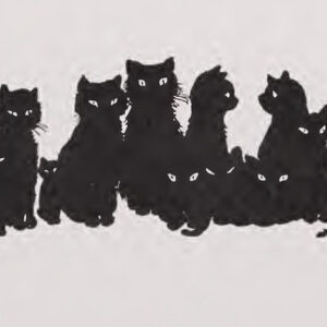 A cat, illustrating Tuna Casserole Candle